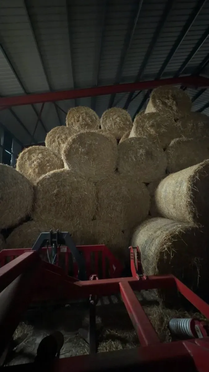 Barley Straw - Image 1