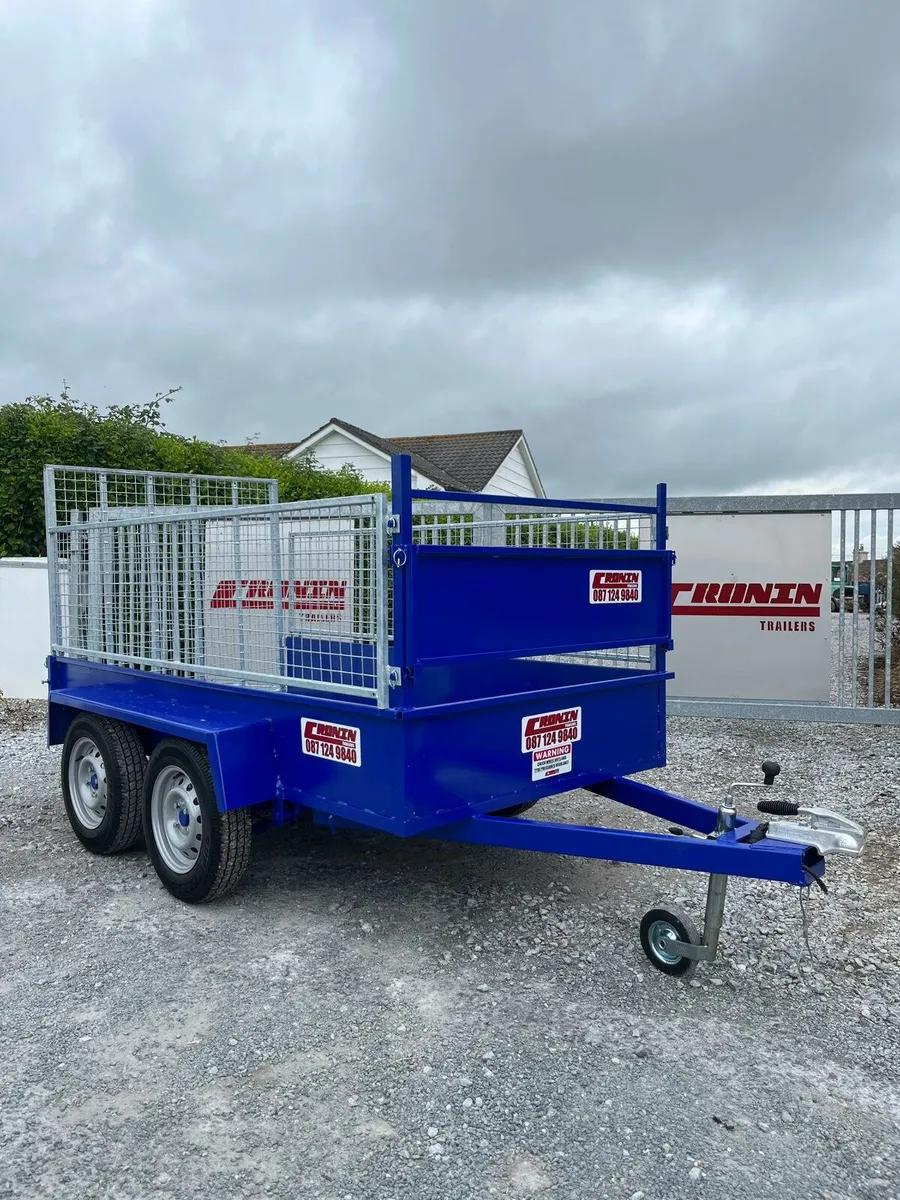 Cronin 8'2x4'2 - Image 1