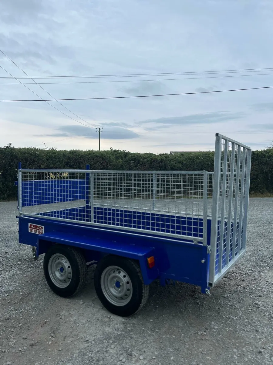 Cronin 8'2x4'2 - Image 2