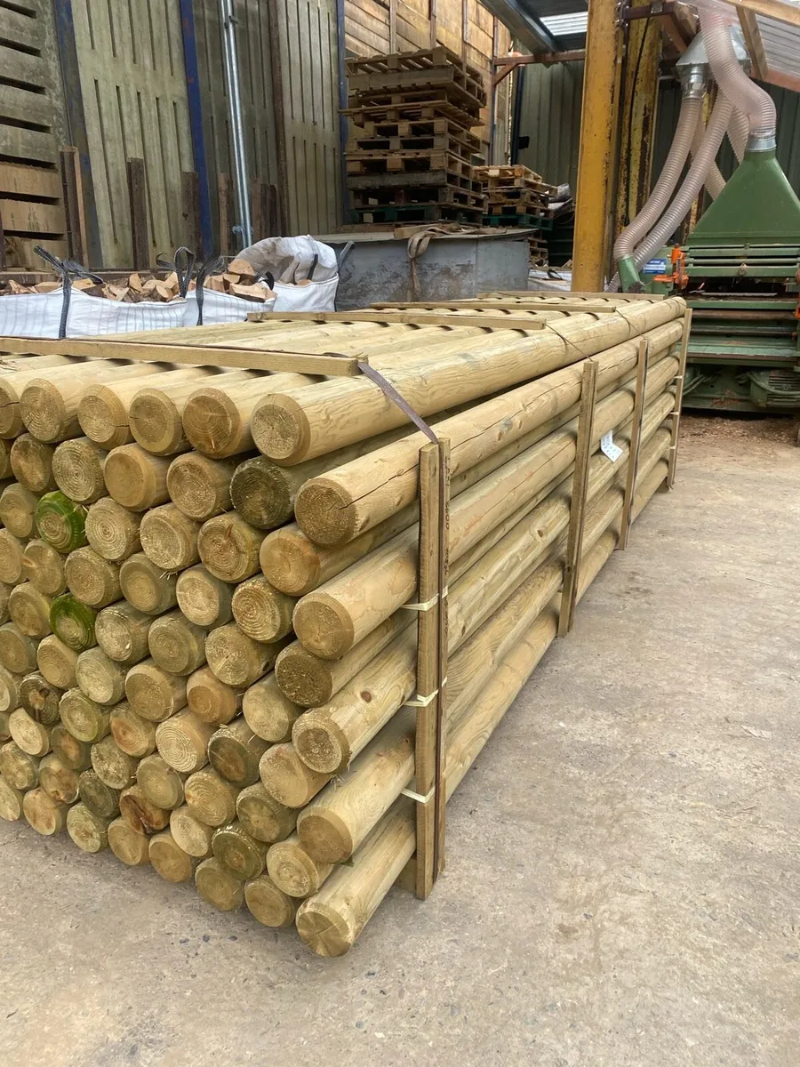 Show jumping poles - Image 1