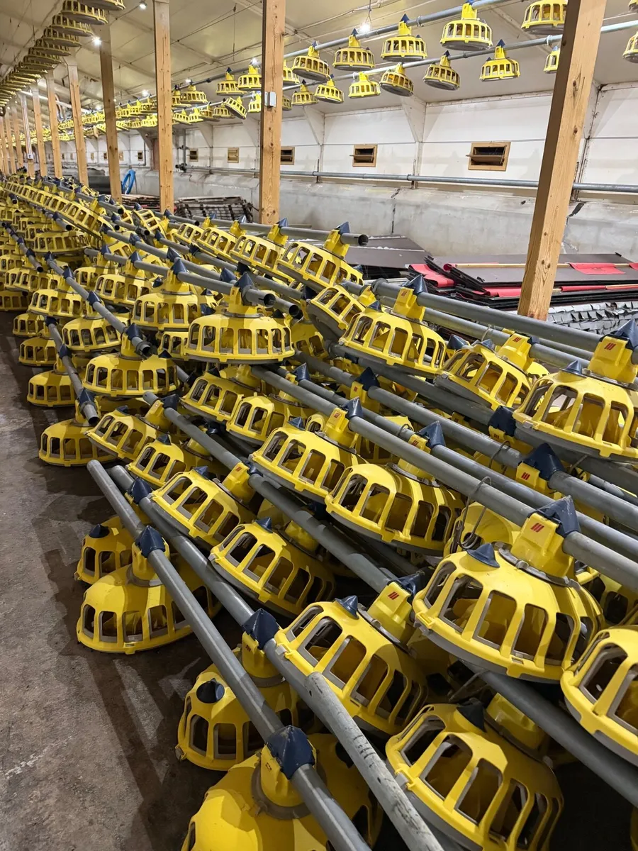 Poultry Equipment - Image 3