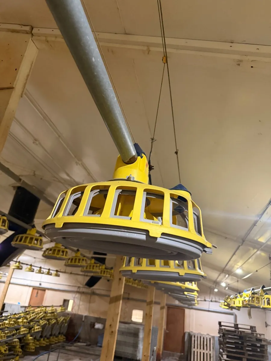 Poultry Equipment - Image 1