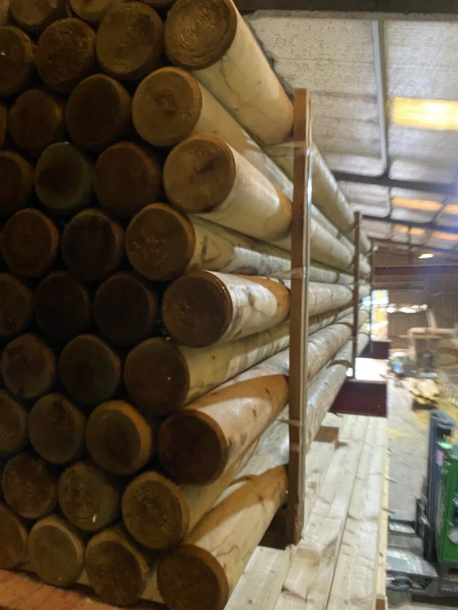 Show jumping poles - Image 2