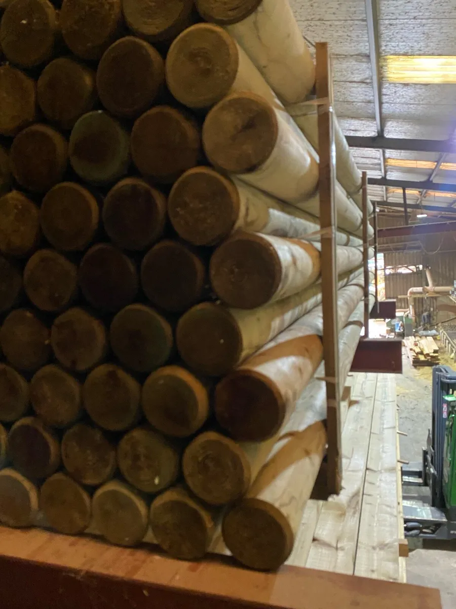 Show jumping poles - Image 3