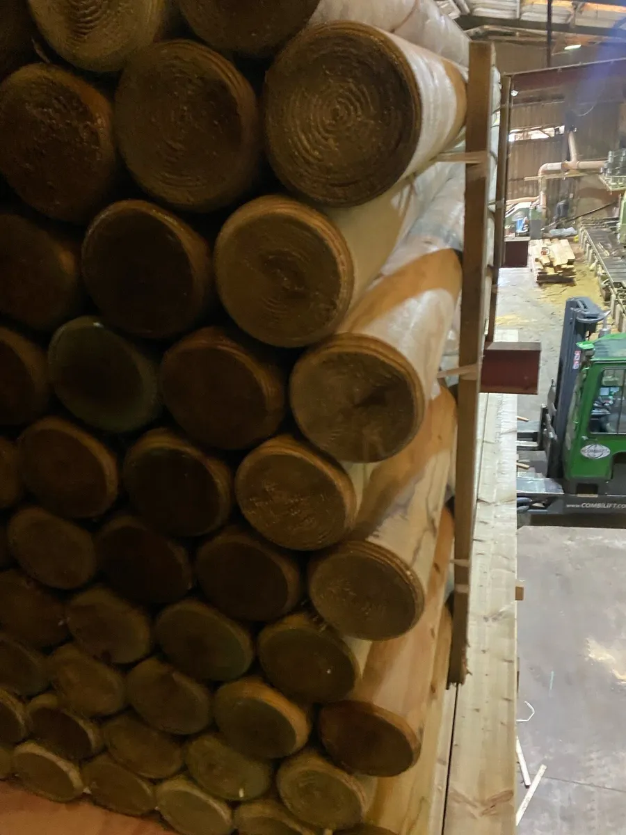 Show jumping poles - Image 4