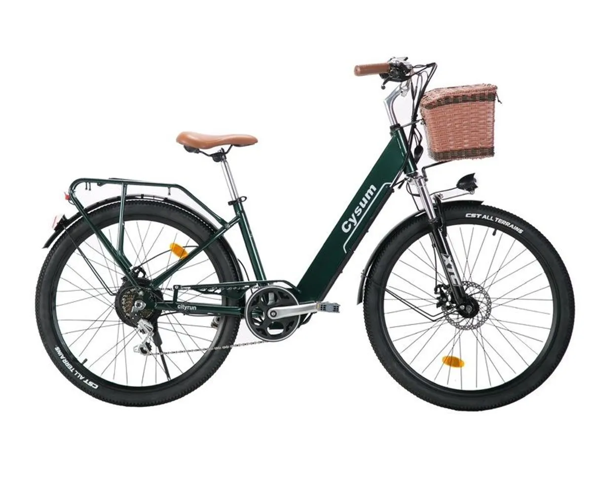 Brand New Dutch Style Electric Bikes - Image 3
