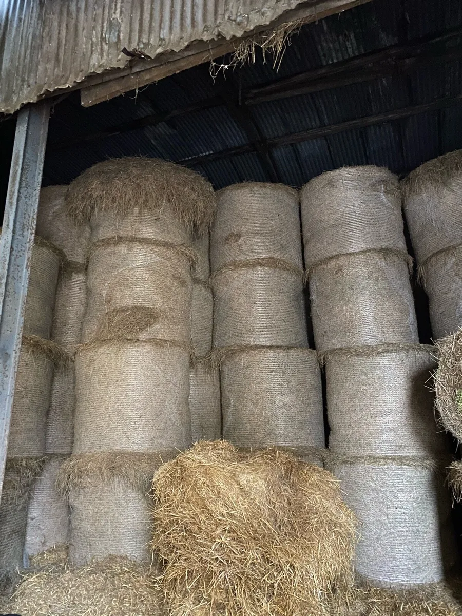 Round bale hay