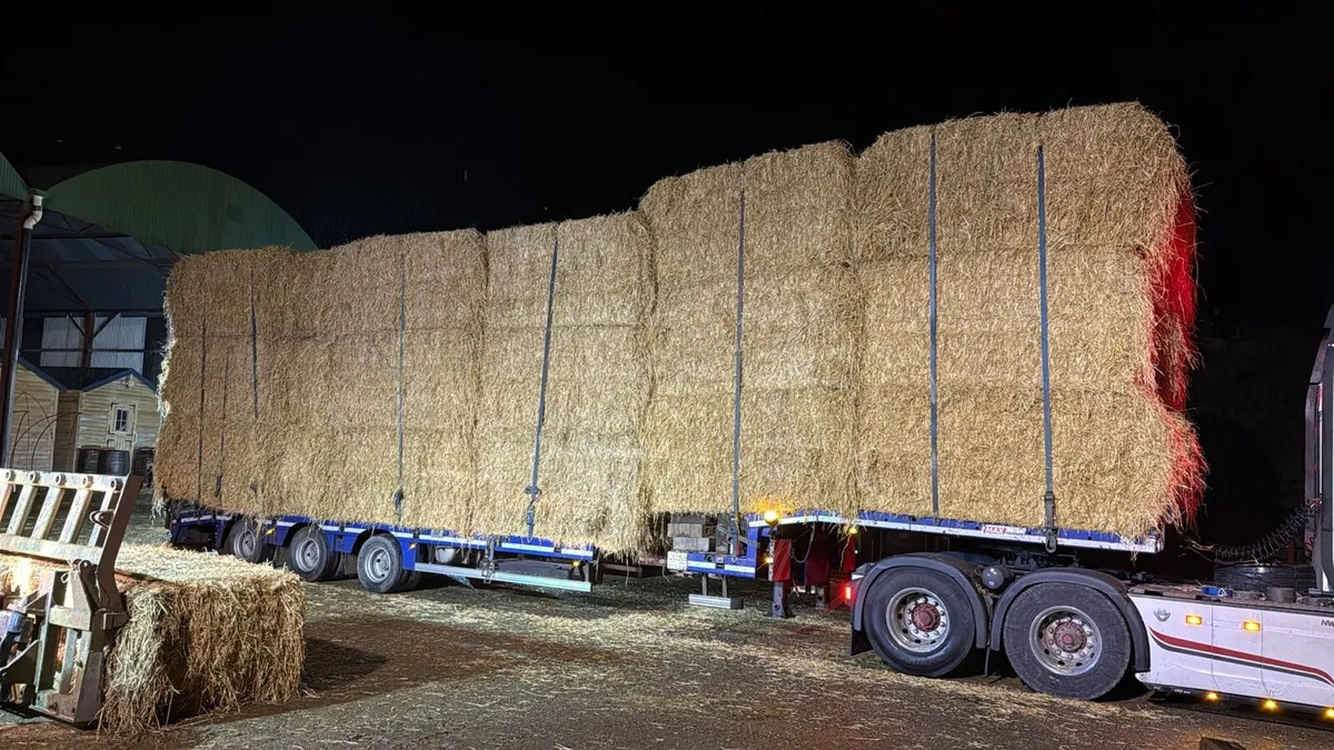 Athlone Ballinasloe bales to spare 8x4x4 barley - Image 2