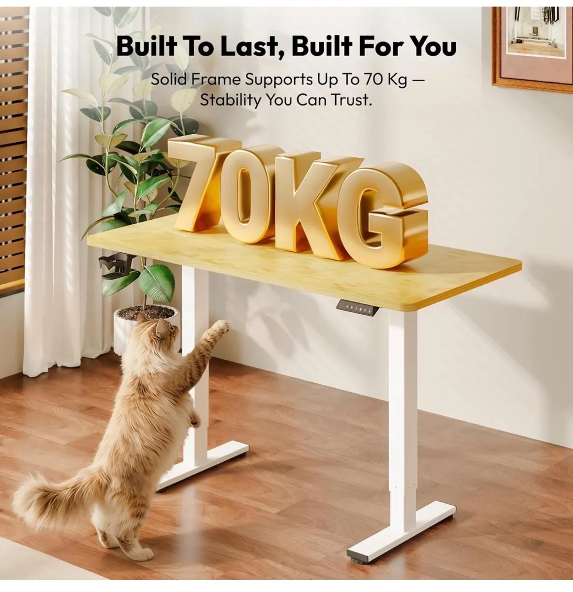 Electric Standing Desk ONE PIECE 110 x54 Height Ad - Image 3