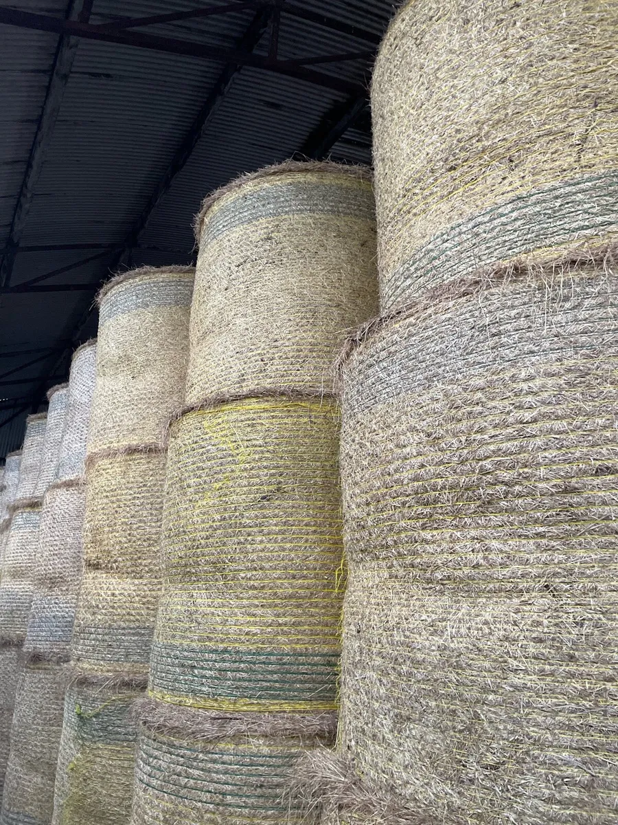Top Quality Round Hay Bales - Image 1
