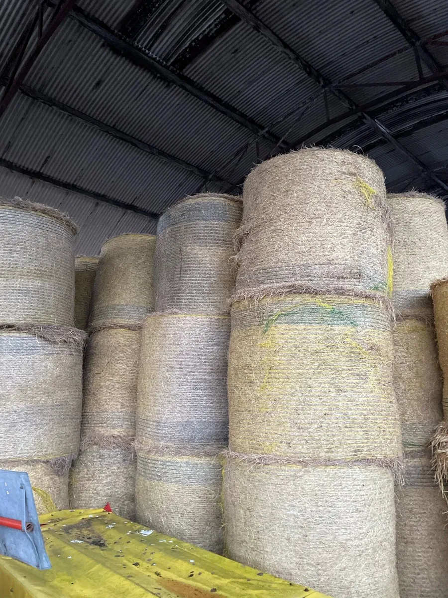 Top Quality Round Hay Bales - Image 2