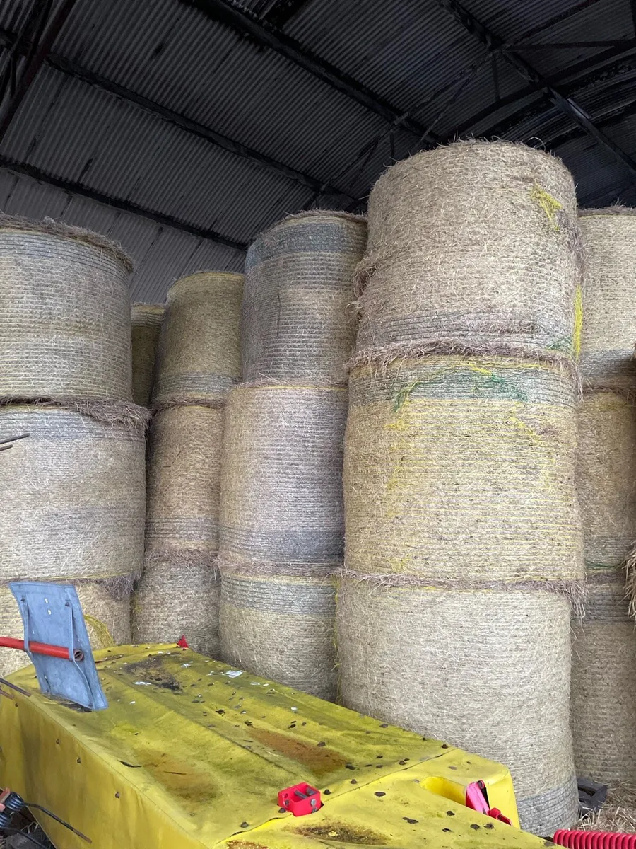 Top Quality Round Hay Bales - Image 4