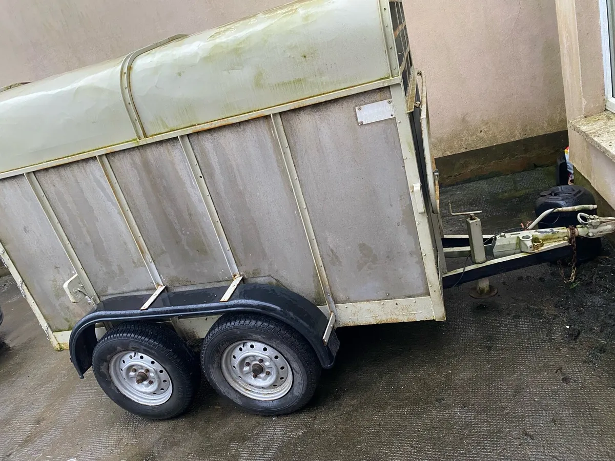 8x4 Cattle Trailer - Image 2