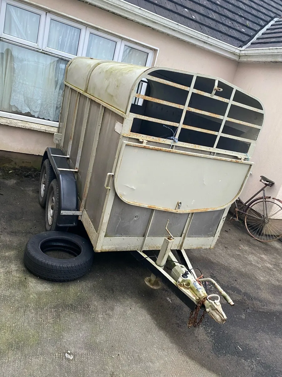 8x4 Cattle Trailer - Image 1