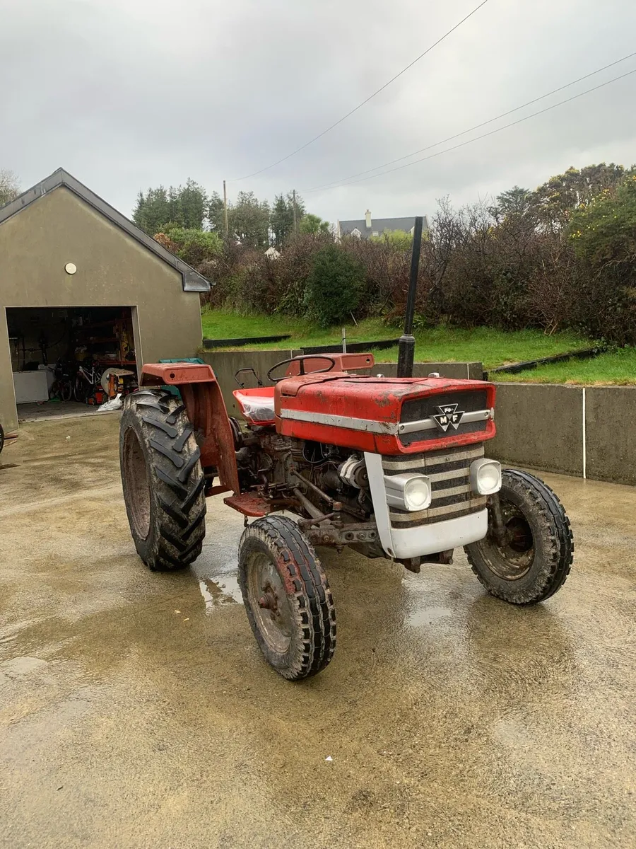 Massey Ferguson 135 - Image 1