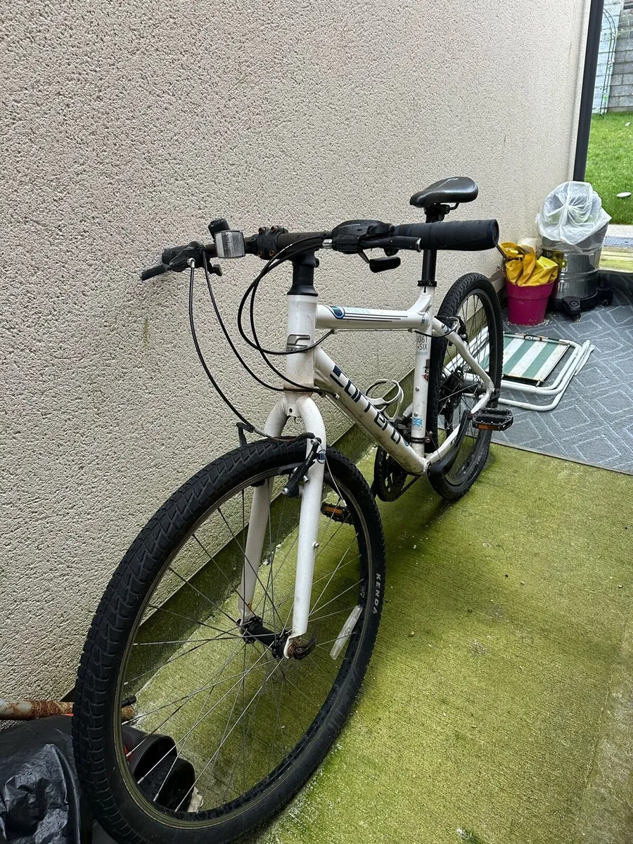 Carrera bike - Image 2