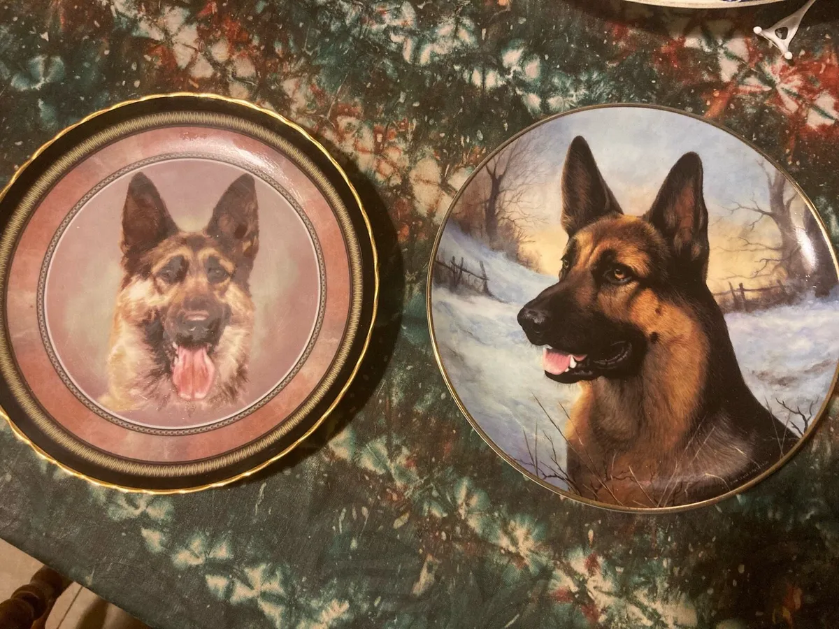 Dog plates free postage