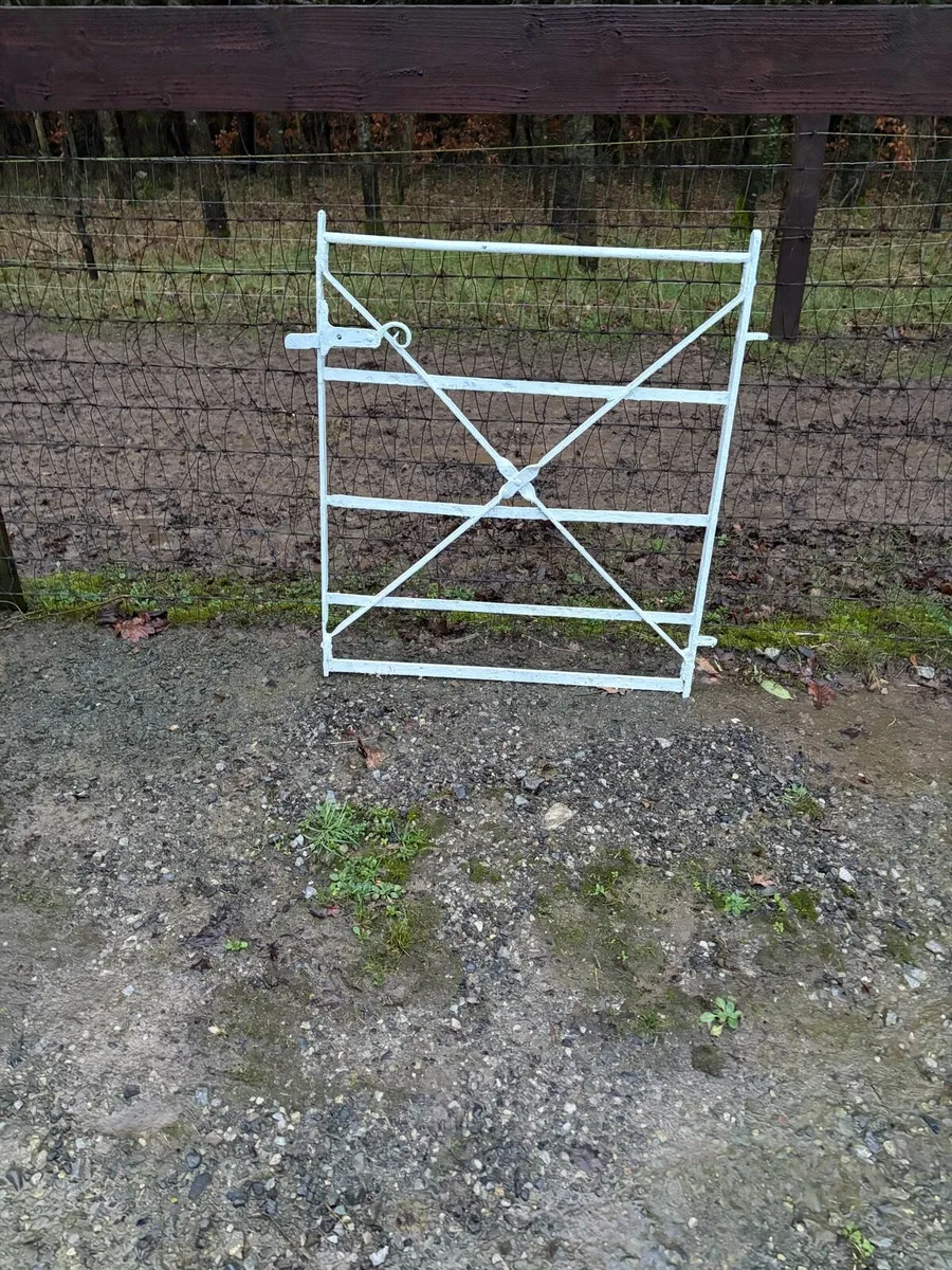 Garden Gate - Image 2