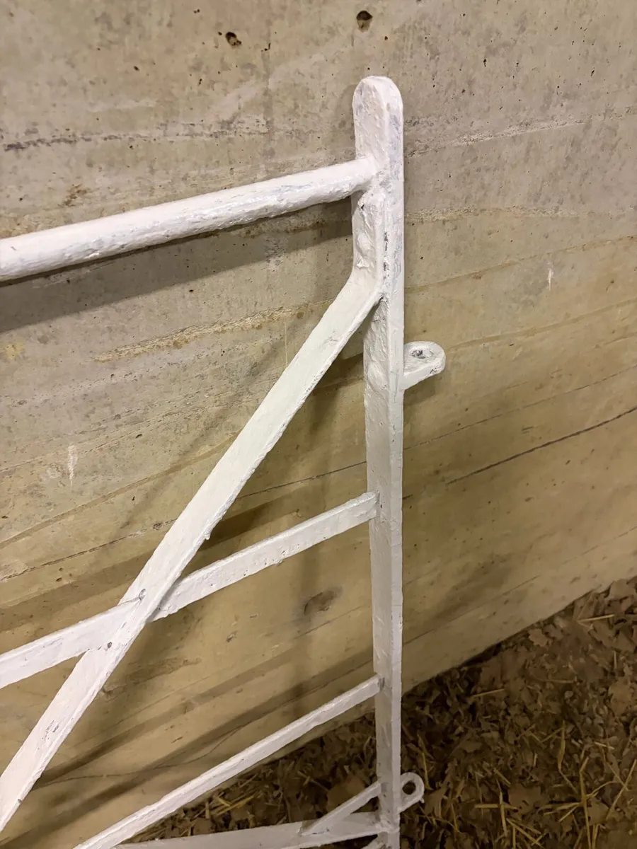 Garden Gate - Image 4