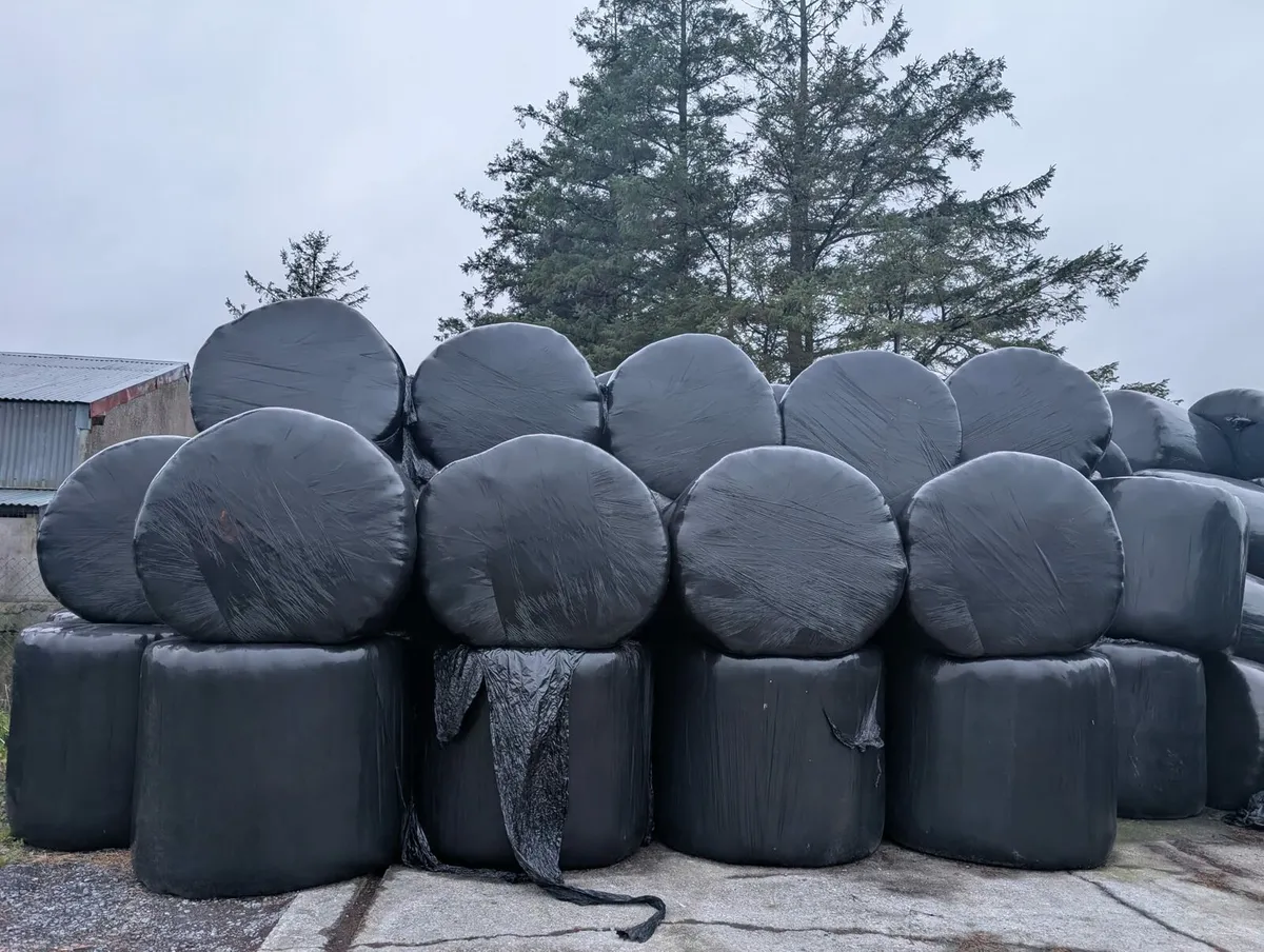 Hay & Haylage - Image 2