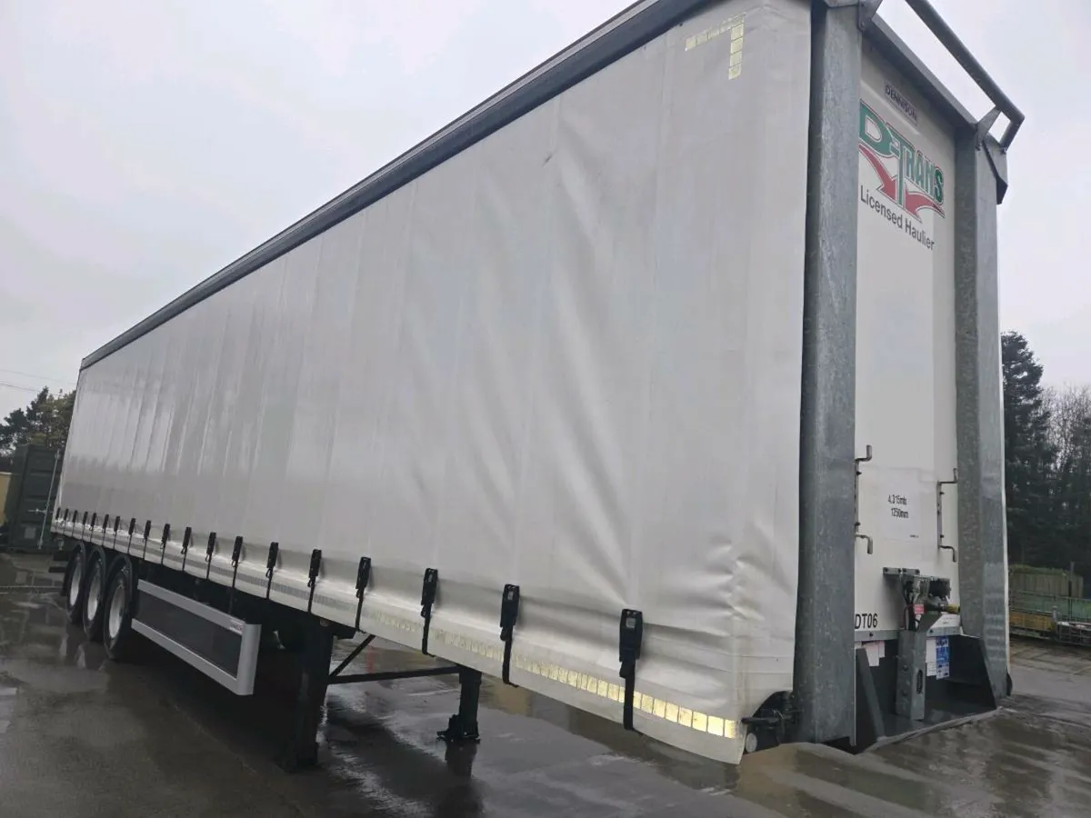 Dennison Curtsinsider - Image 3