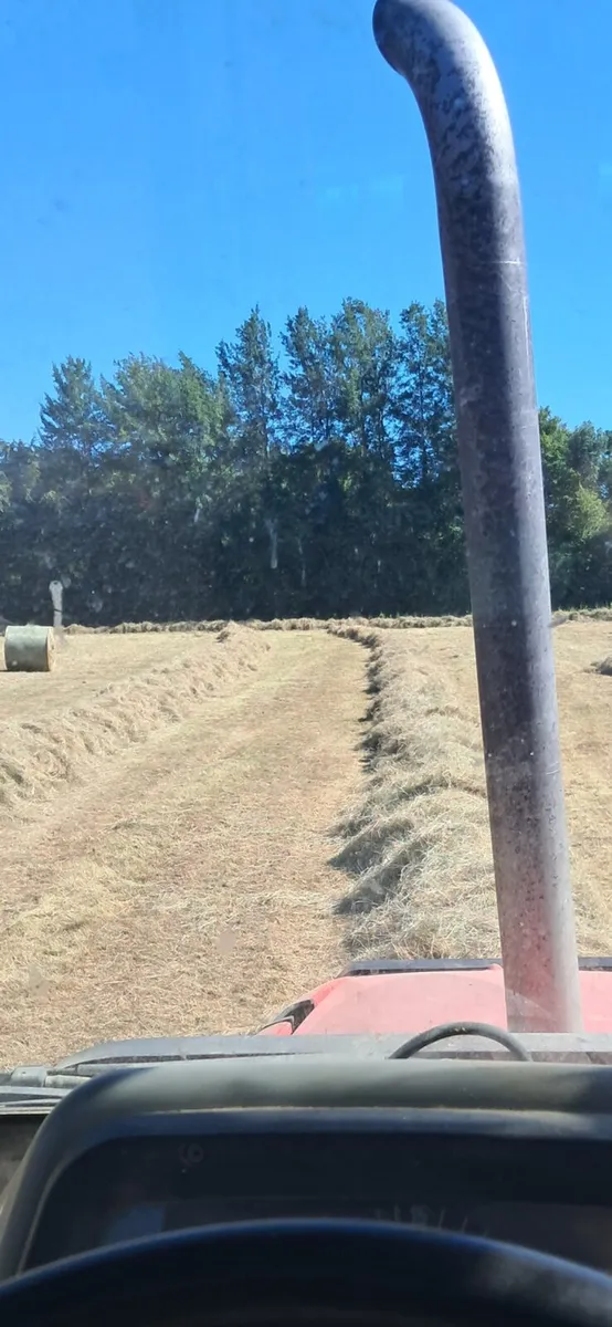 Hay - Image 2