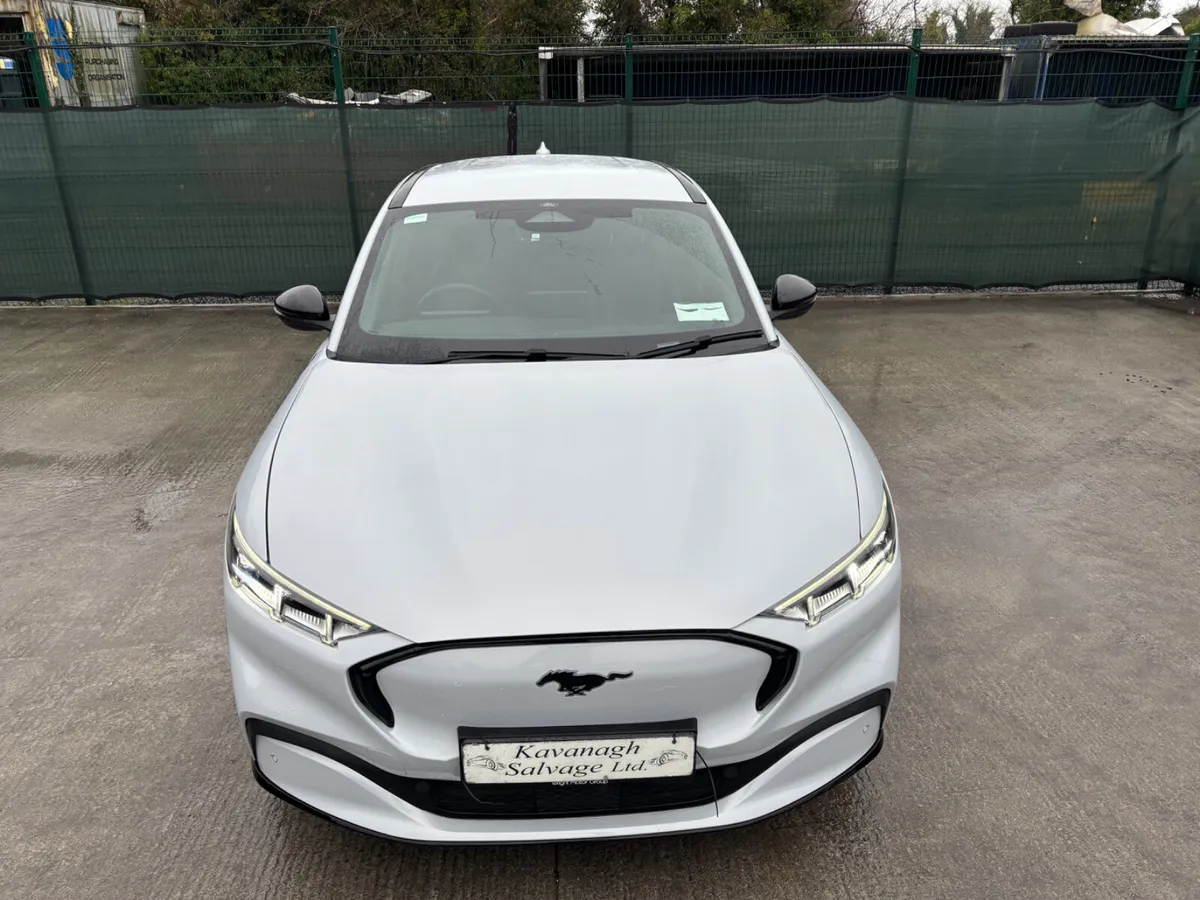 221 Mustang  Electric Drive Home - Image 4