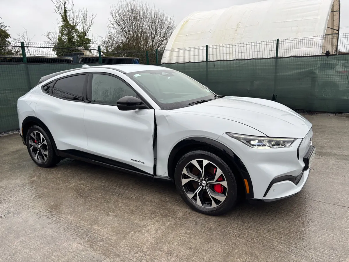 221 Mustang  Electric Drive Home - Image 3