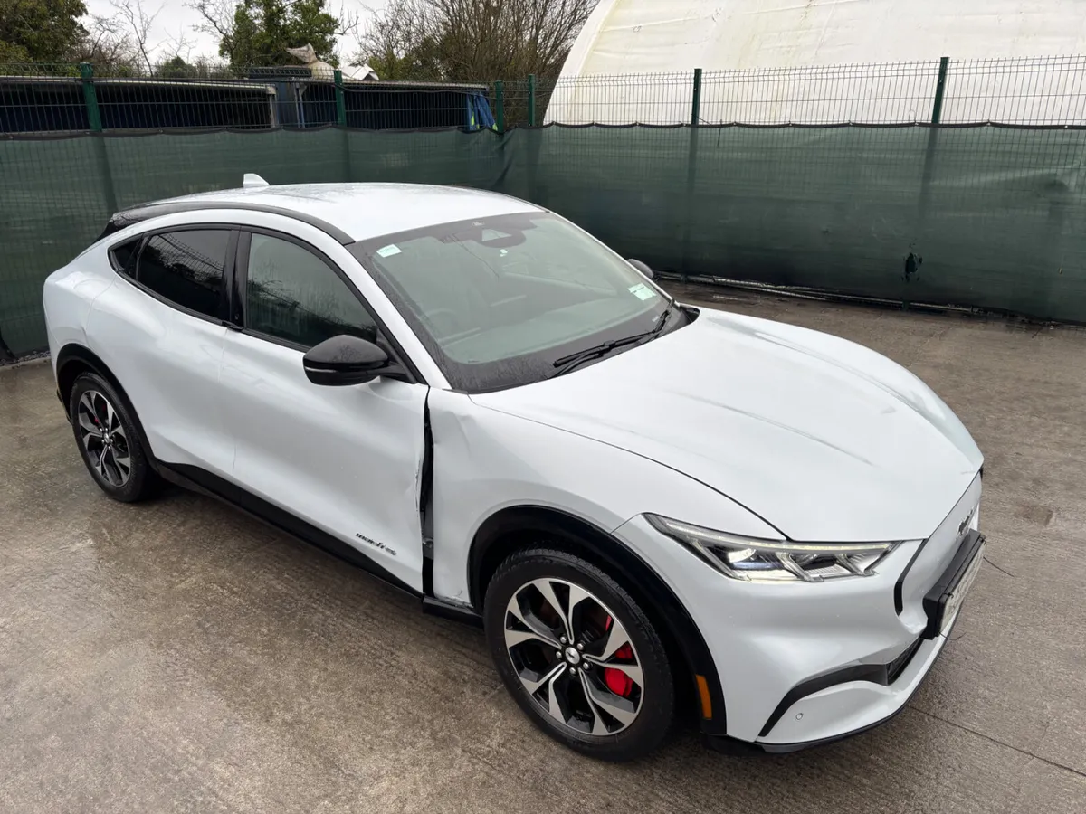 221 Mustang  Electric Drive Home - Image 2