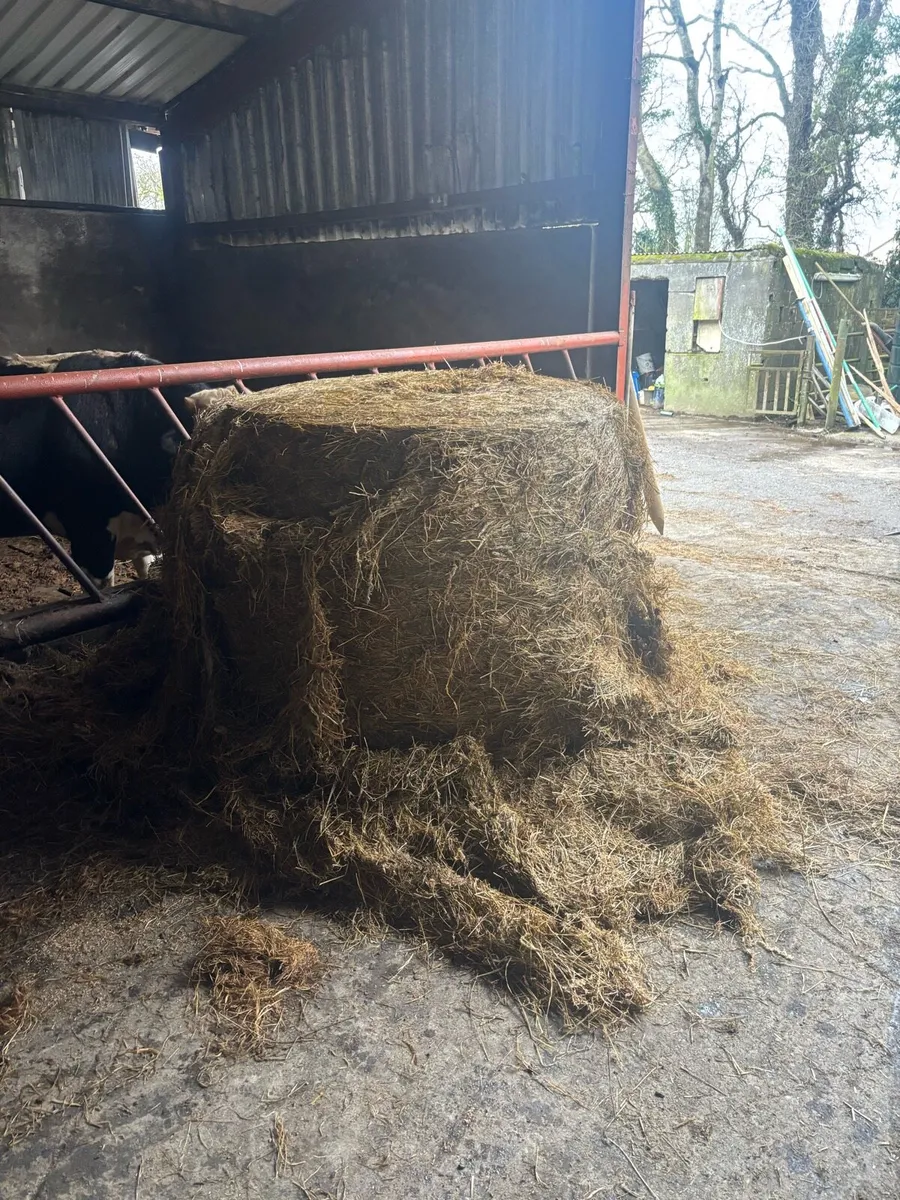 Silage bale - Image 2