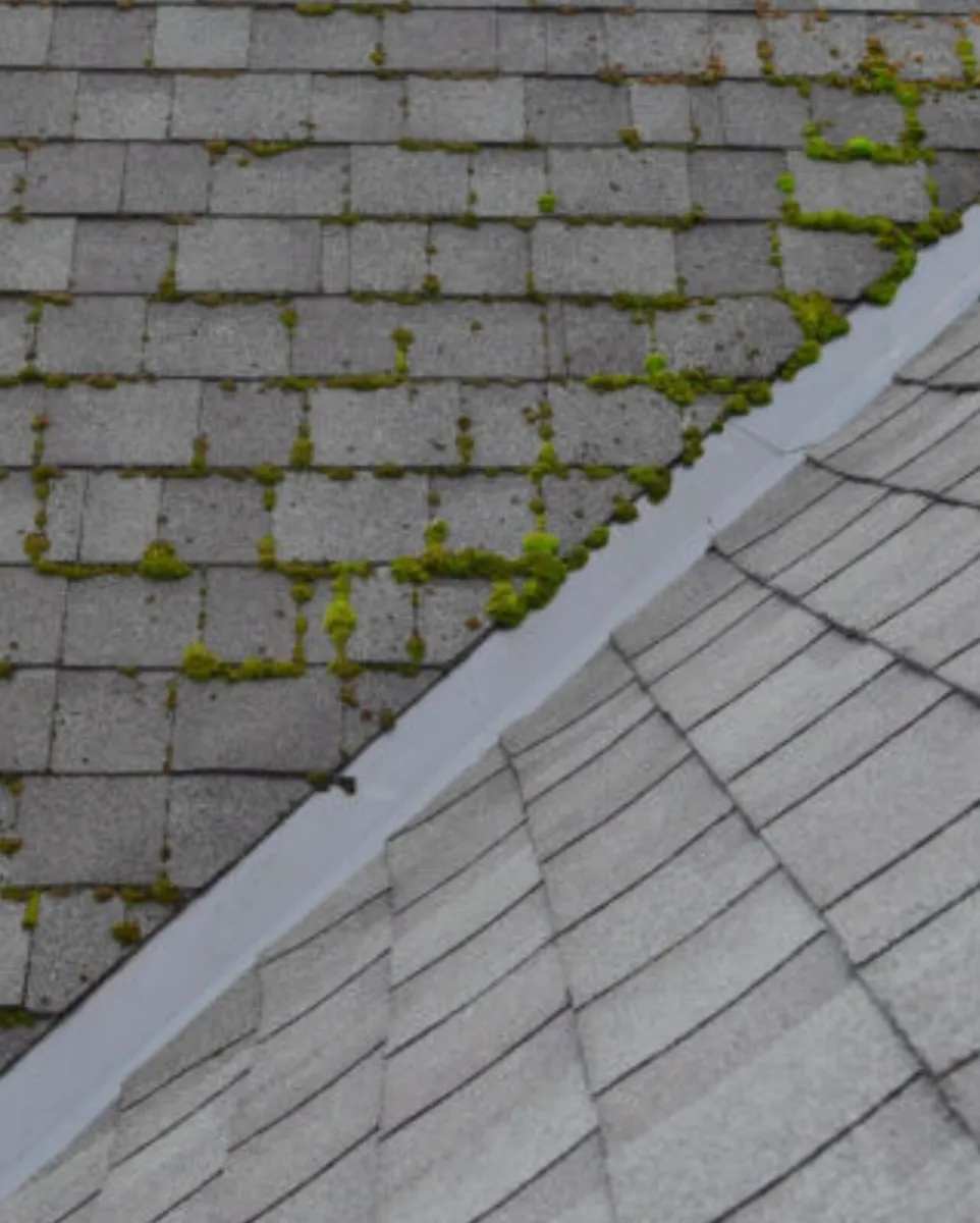 ** 10 LITRES CLEAR PATH ** - Image 3