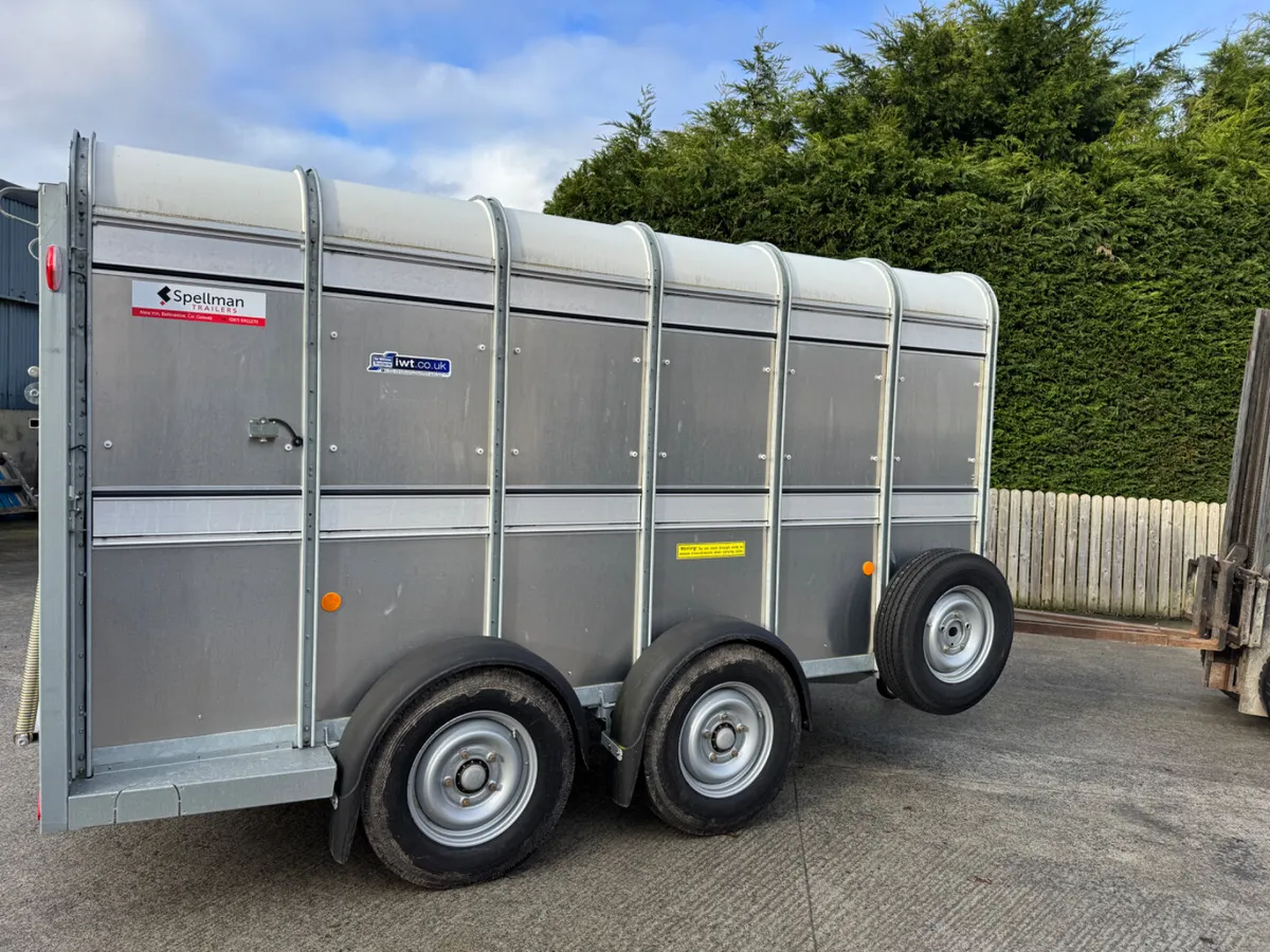 Ifor Williams livestock trailer - Image 3