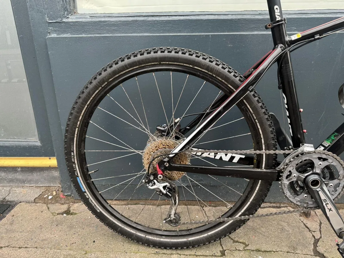 Giant XTC ❗️Open  7 days of the week ❗️ - Image 4