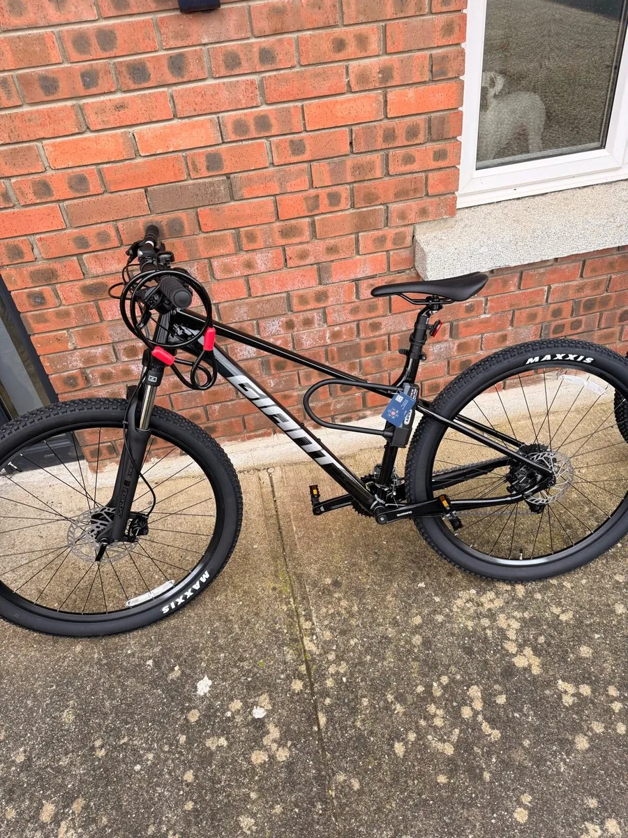 Giant talon 3 - Image 1