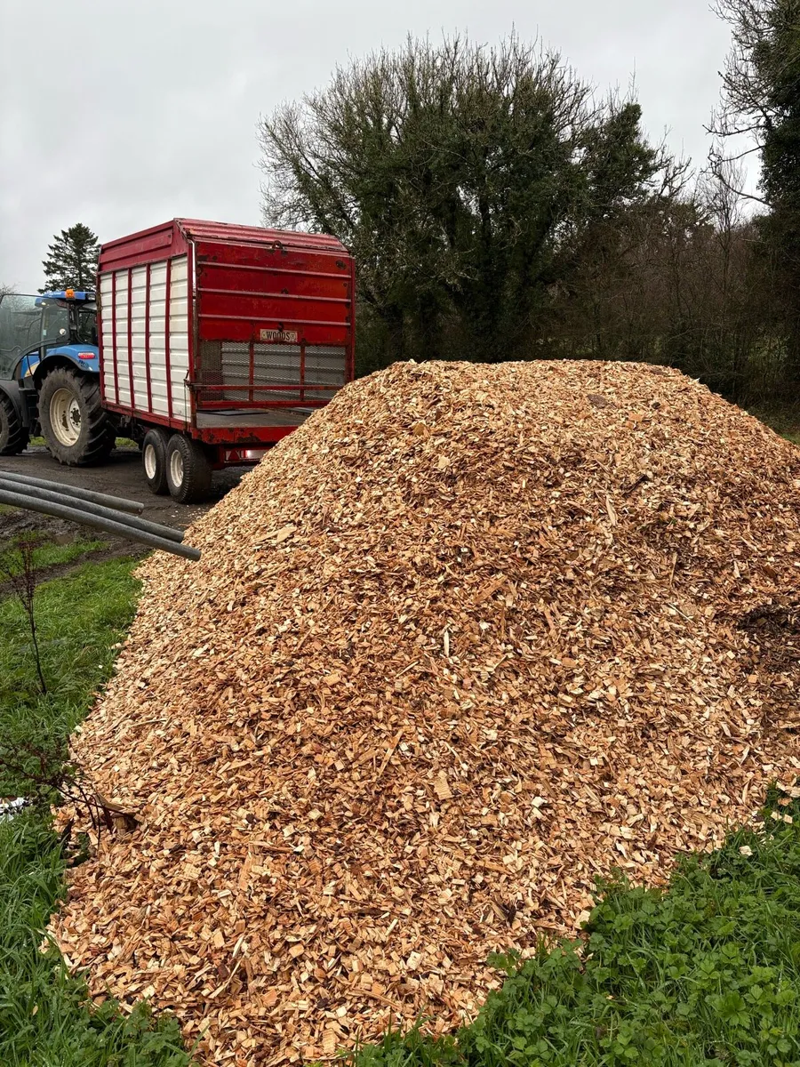 Woodchip - Image 1