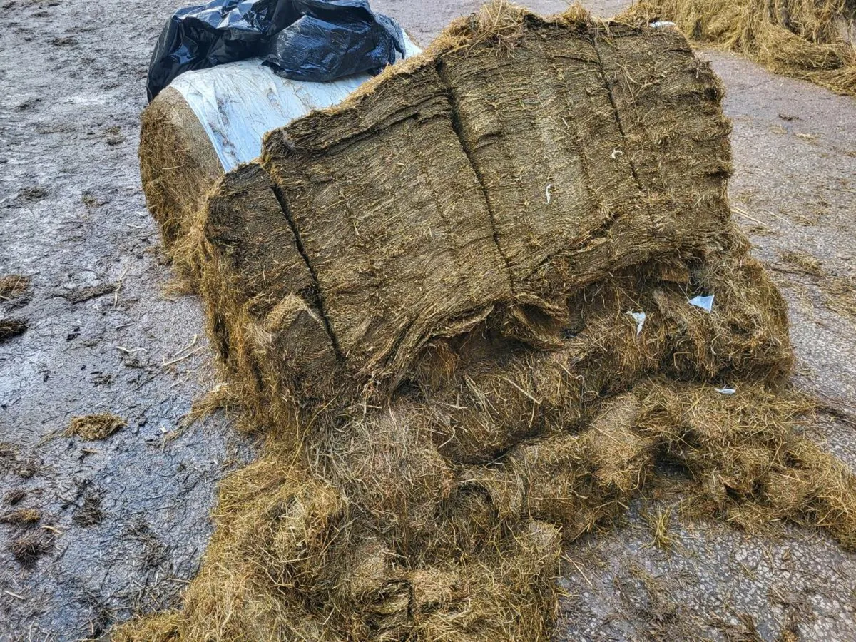 Silage Bales - Image 2
