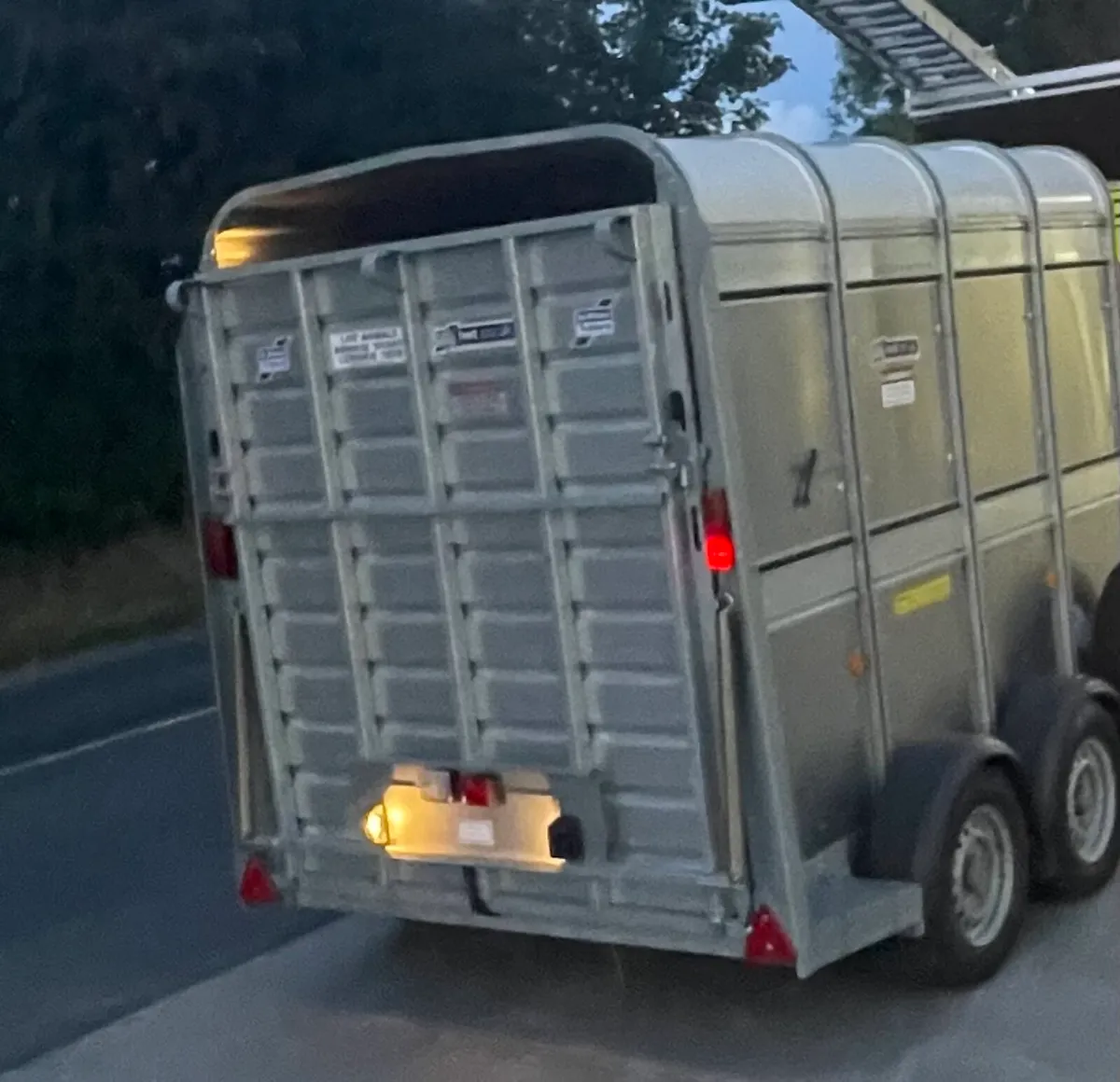 8/5 cow  trailer - Image 2