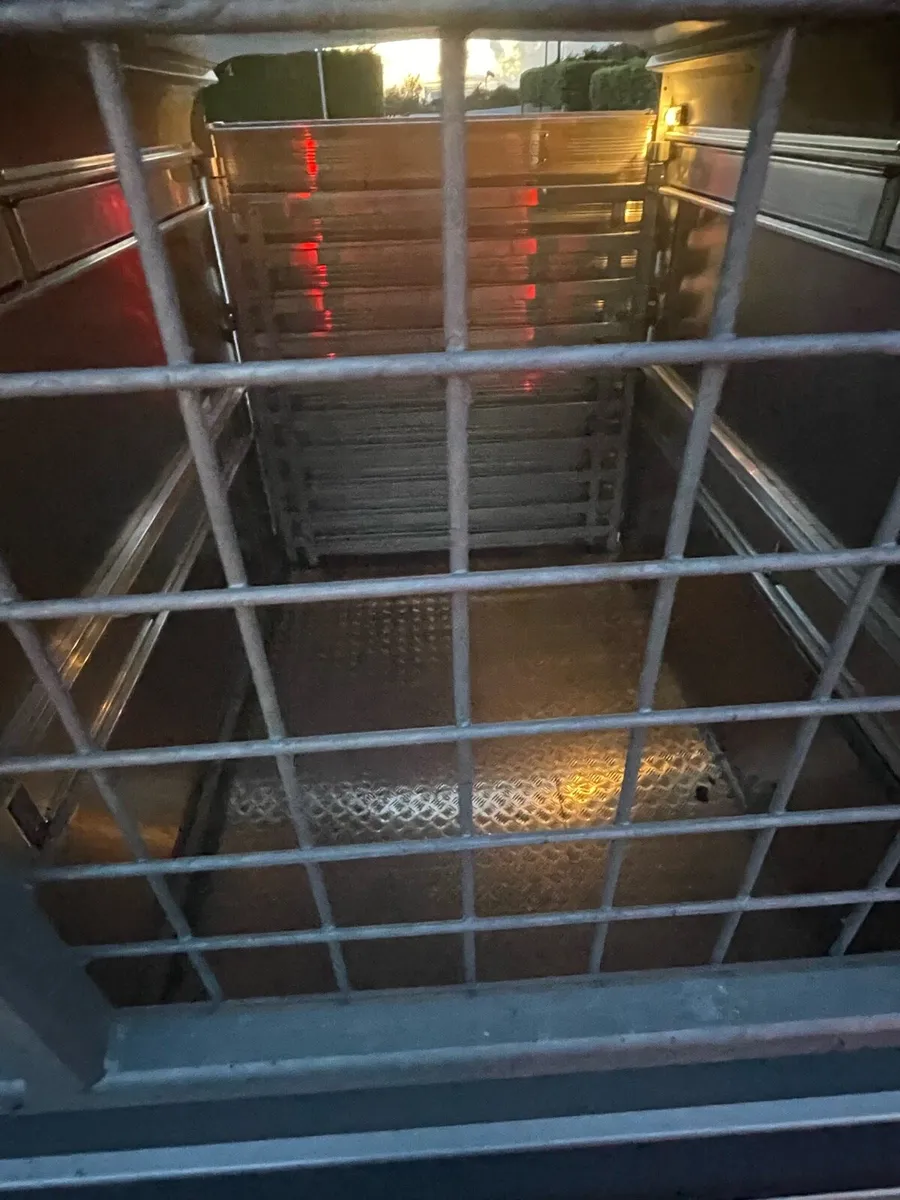 8/5 cow  trailer - Image 3