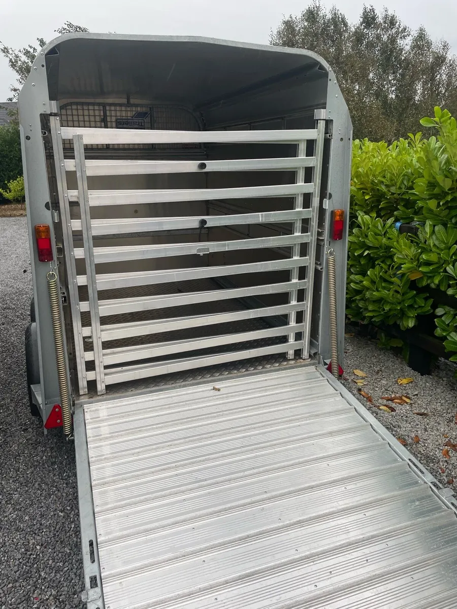 8/5 cow  trailer - Image 4