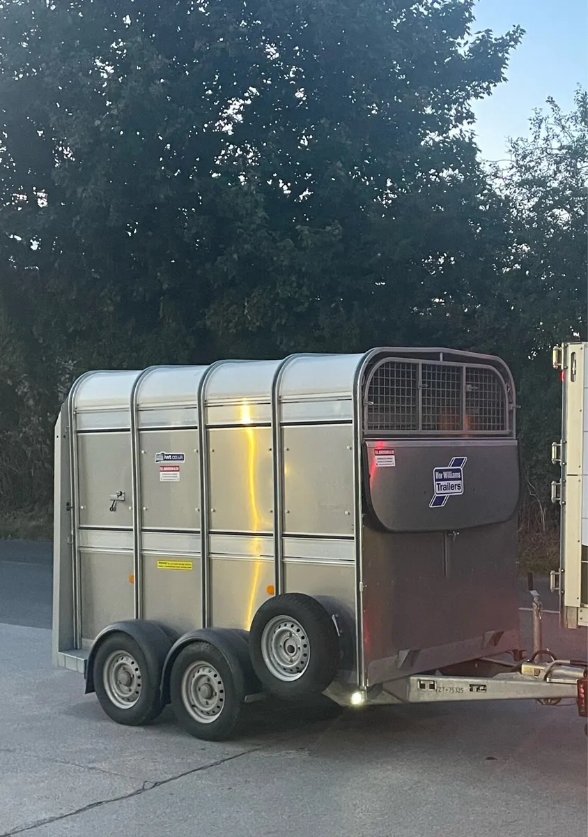 8/5 cow  trailer - Image 1