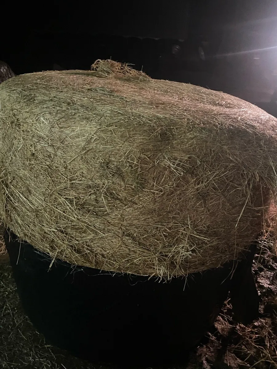 Haylage - Image 1
