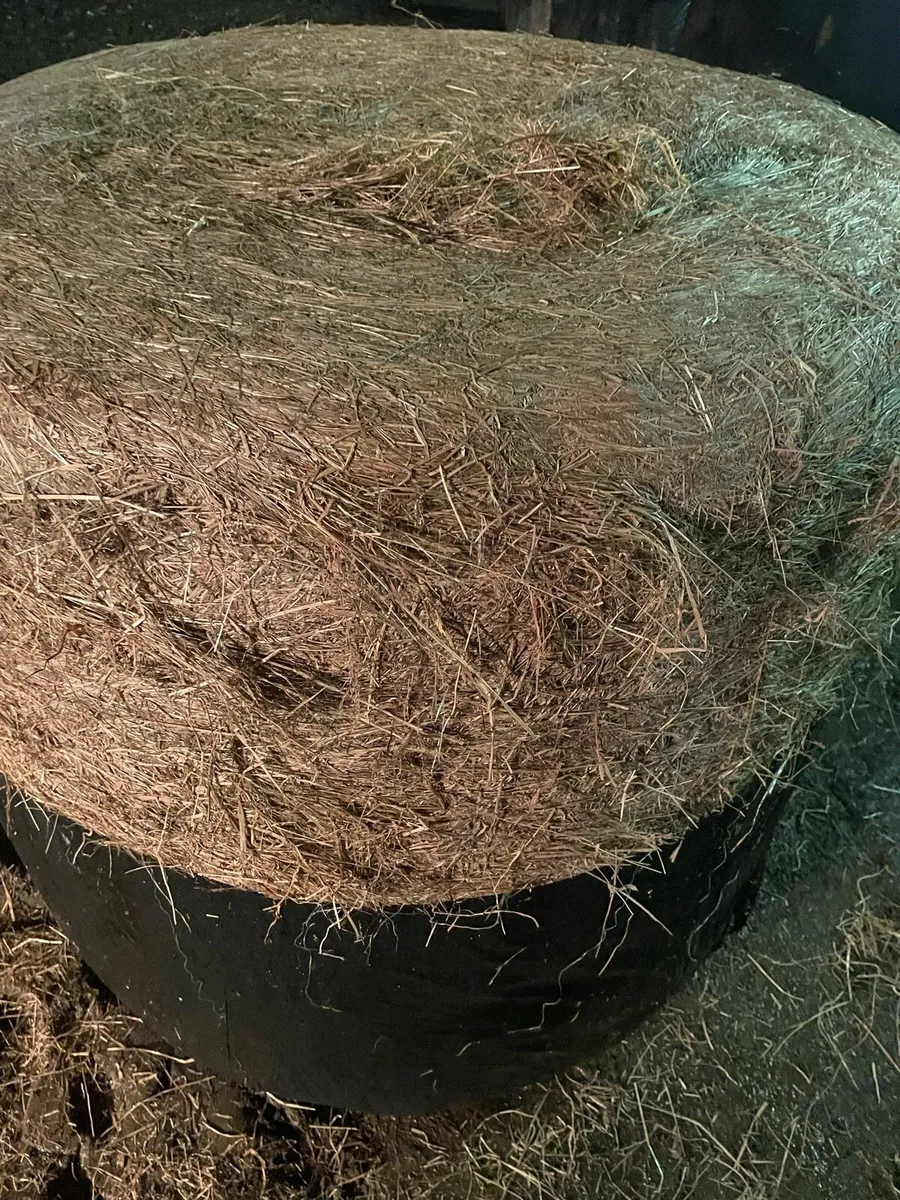 Haylage - Image 2
