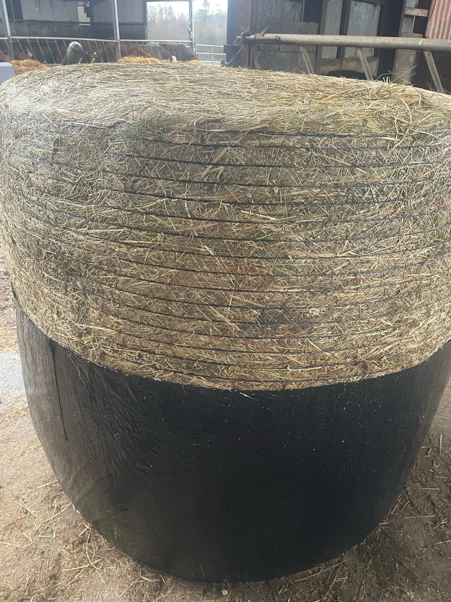 Haylage - Image 3
