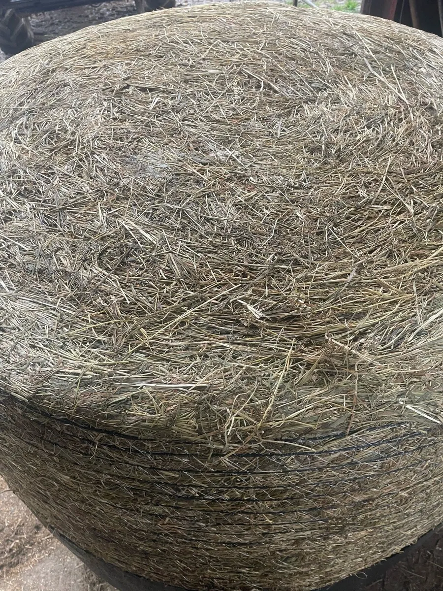 Haylage - Image 4