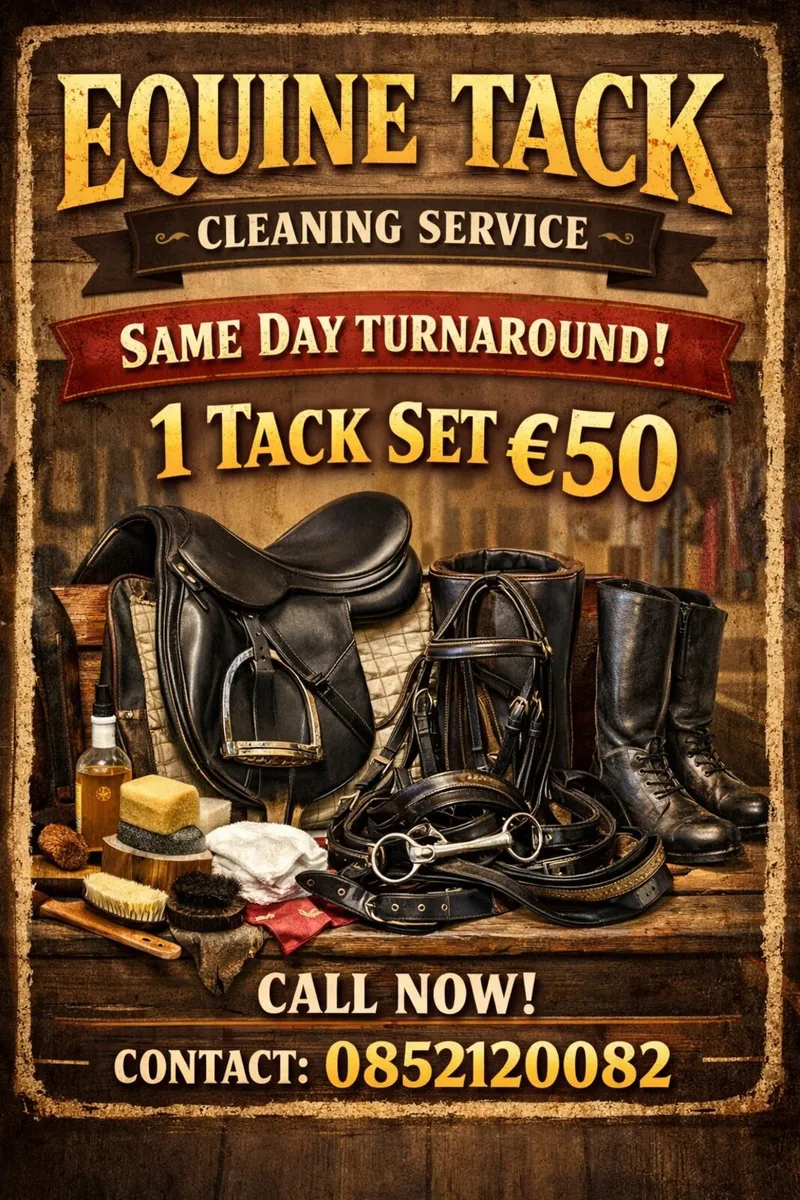 Equine tack cleaning service county limerick - Image 1