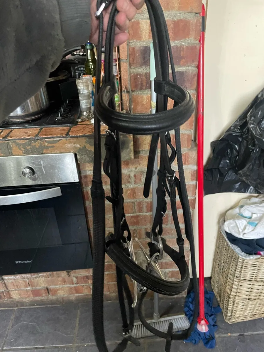 Equine tack cleaning service county limerick - Image 2