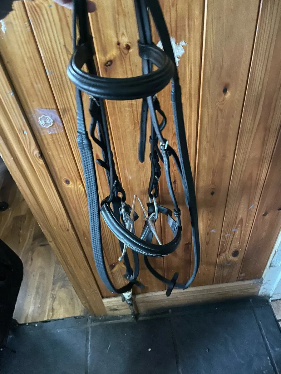 Equine tack cleaning service county limerick - Image 3