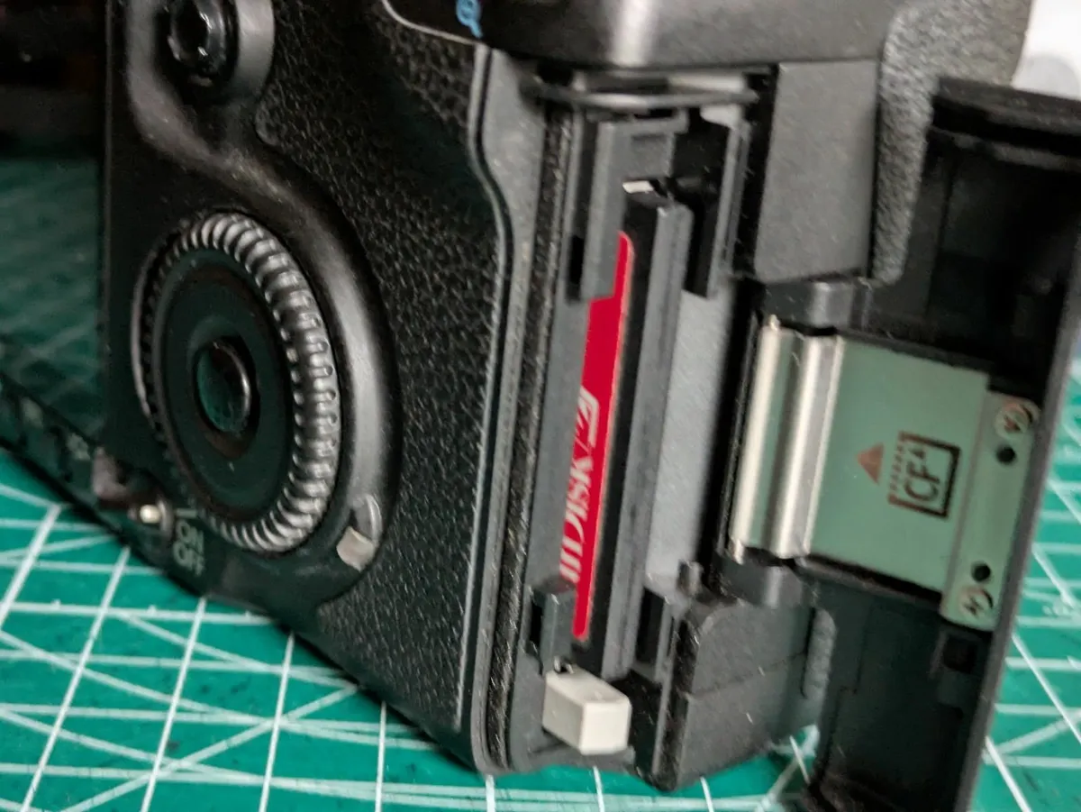 Canon 40D + Olympus Zuiko 50 1.8 lens - Image 4