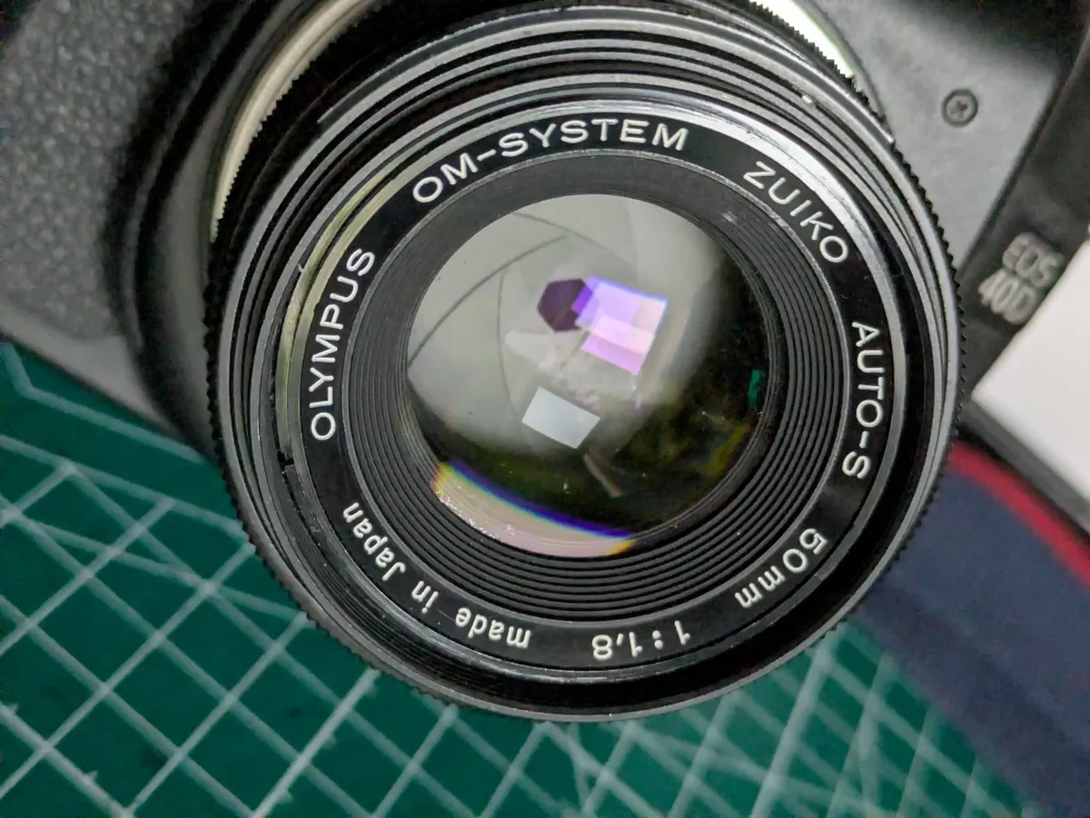 Canon 40D + Olympus Zuiko 50 1.8 lens - Image 3