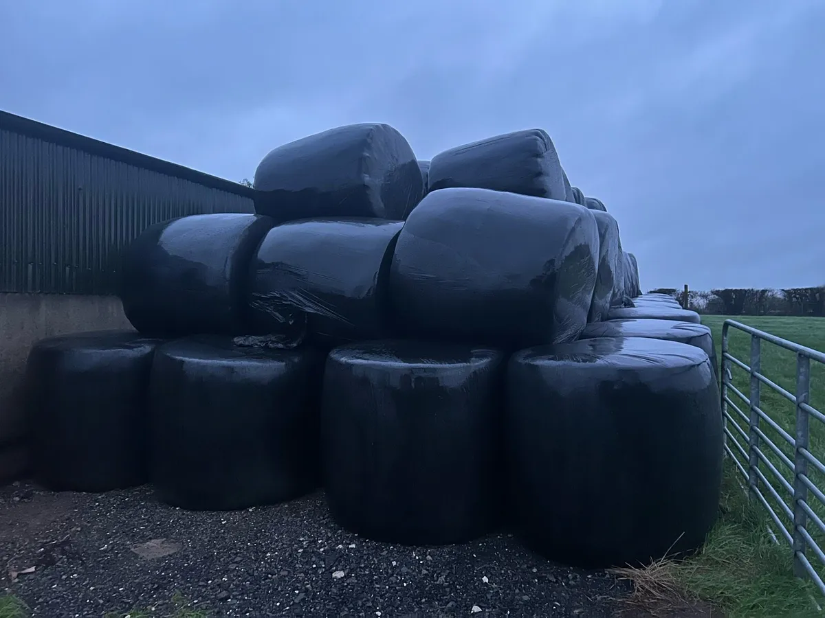 Round bale silage - Image 1